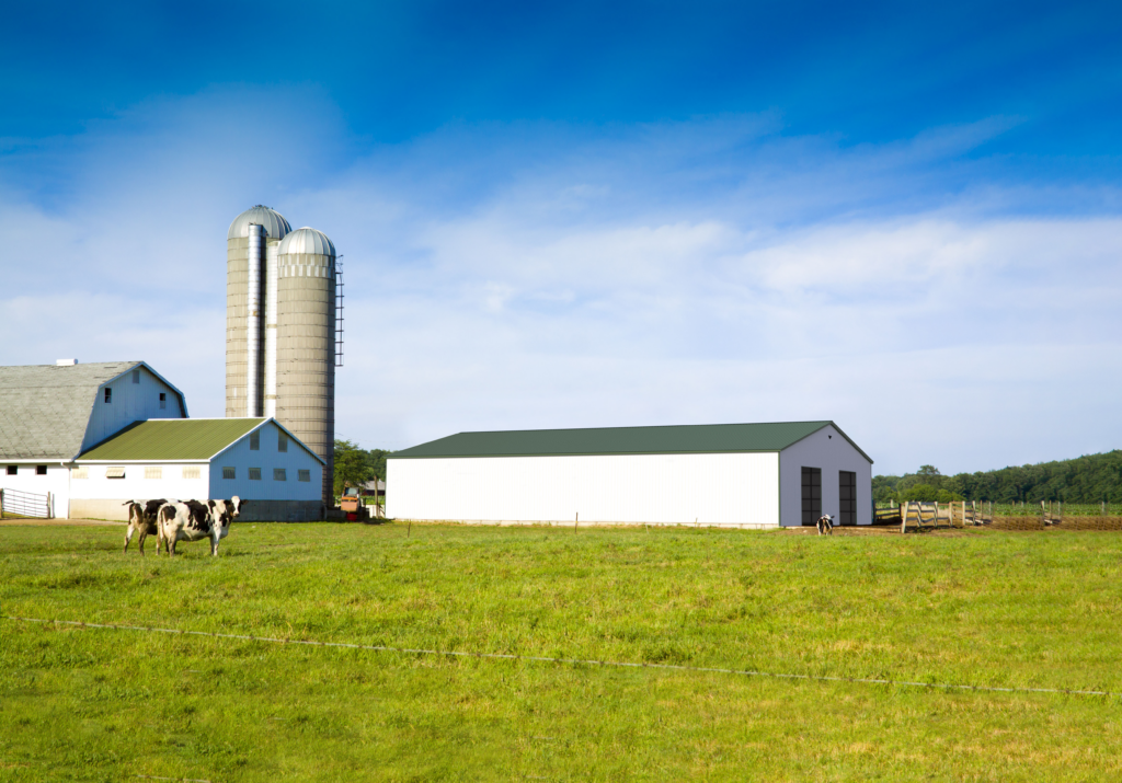 A bargain farm with a metal silo.