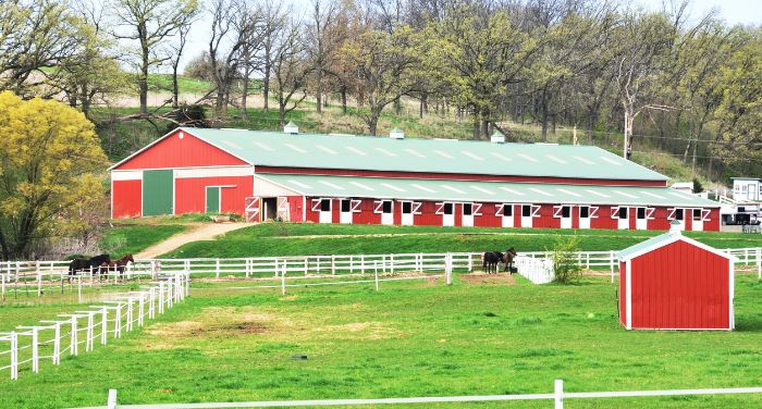 A red horse barn with a white fence, surrounded by metal barns and bargain metal buildings.