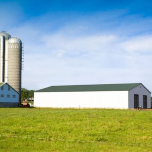 A farm scene features a white barn and two silos, with a 40x60x12 Vertical Roof Commercial Metal Building nearby under a blue sky. Two cows graze on the green grass, enhancing the picturesque rural setting.