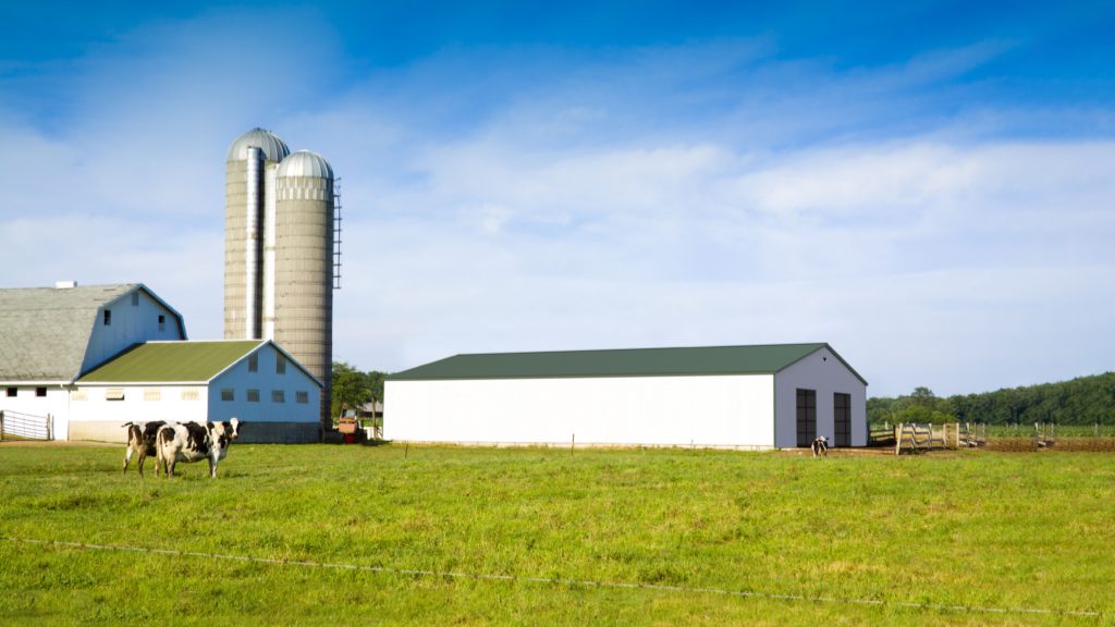 A farm scene features a white barn and two silos, with a 40x60x12 Vertical Roof Commercial Metal Building nearby under a blue sky. Two cows graze on the green grass, enhancing the picturesque rural setting.